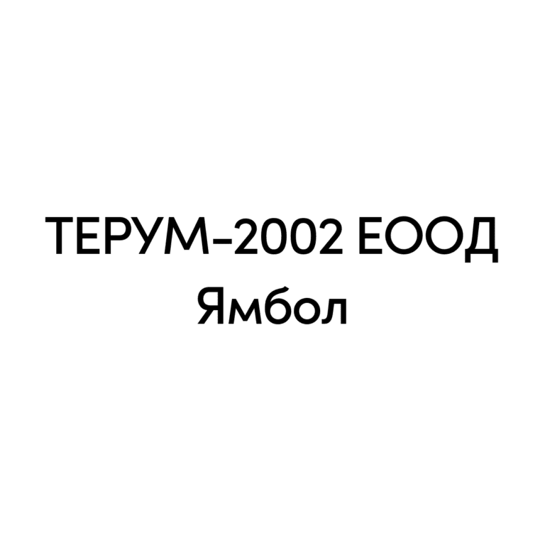 TERUM-2002 LOGO