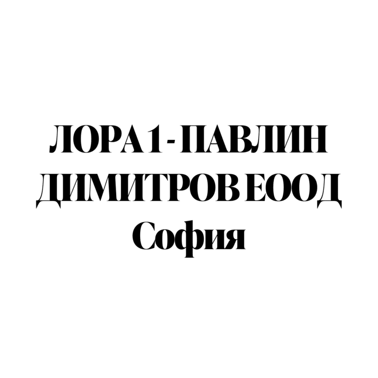 LORA1 LOGO