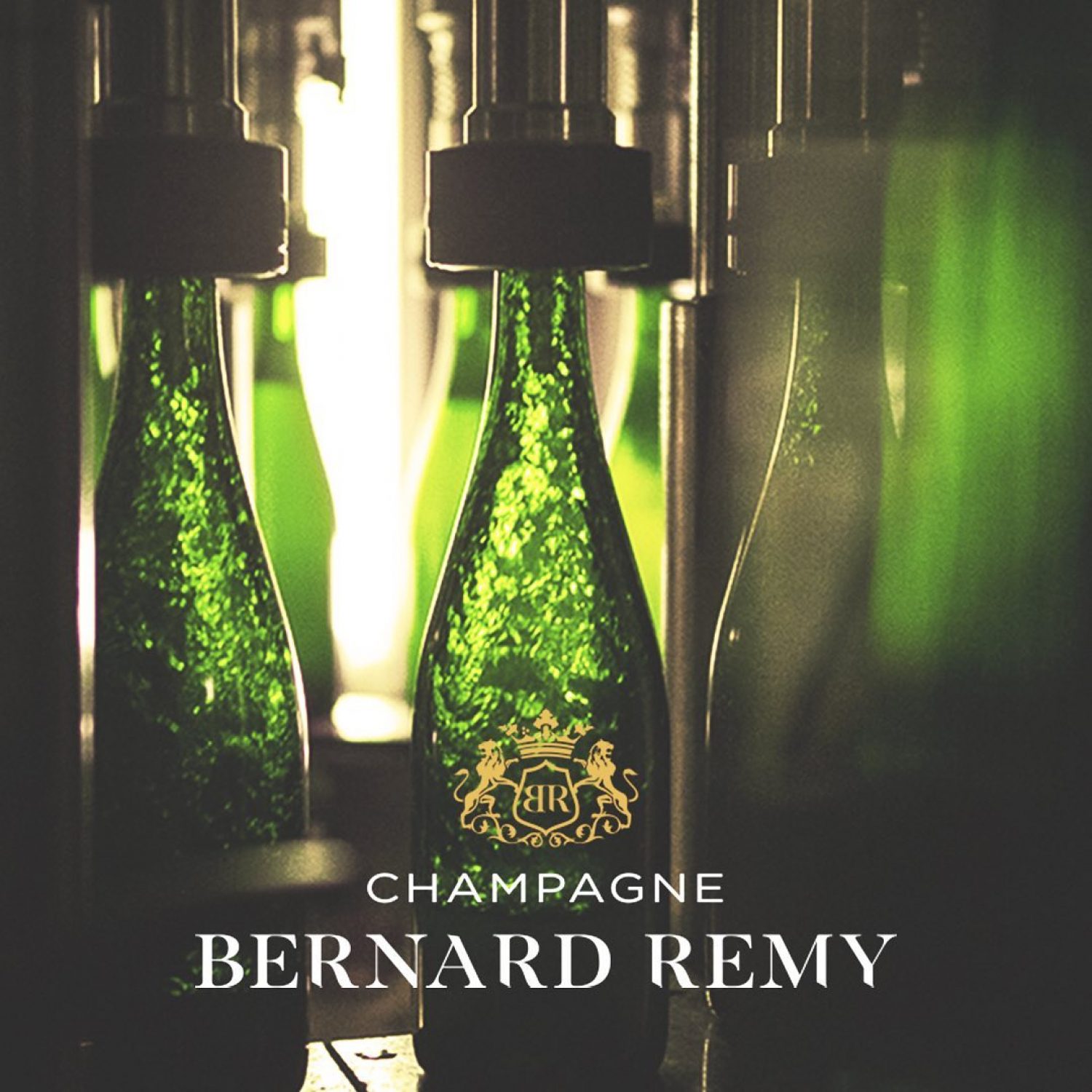 bernard remy